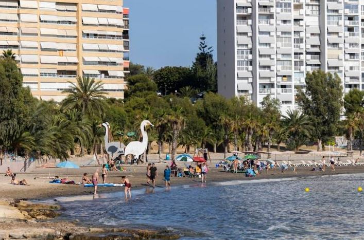 Las Mejores Playas para Disfrutar con Bebés en Alicante