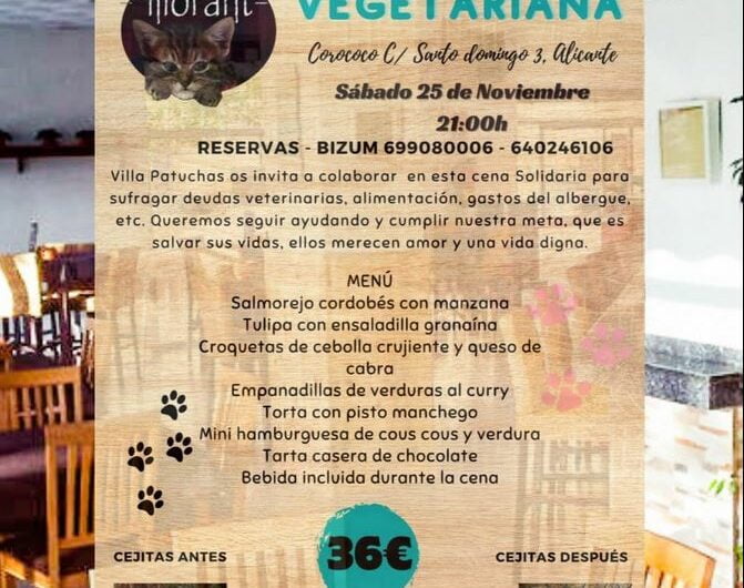 CENA GATUNA  Felinos Lo Morant