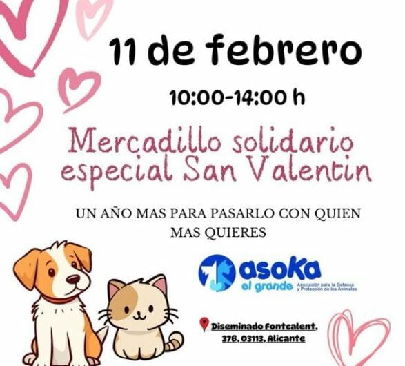 MERCADILLO SOLIDARIO ESPECIAL SAN VALENTIN