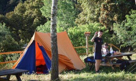 camping alicante
