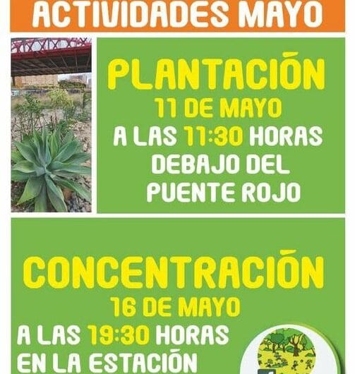 Plantación y Concentración Parque Central